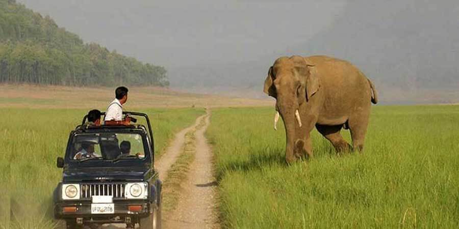 Corbett Jeep Safari