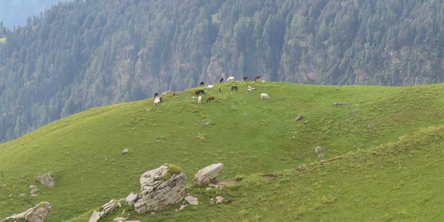 Bhrigu Lake Trek