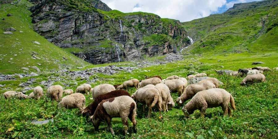 Hampta Pass Trek