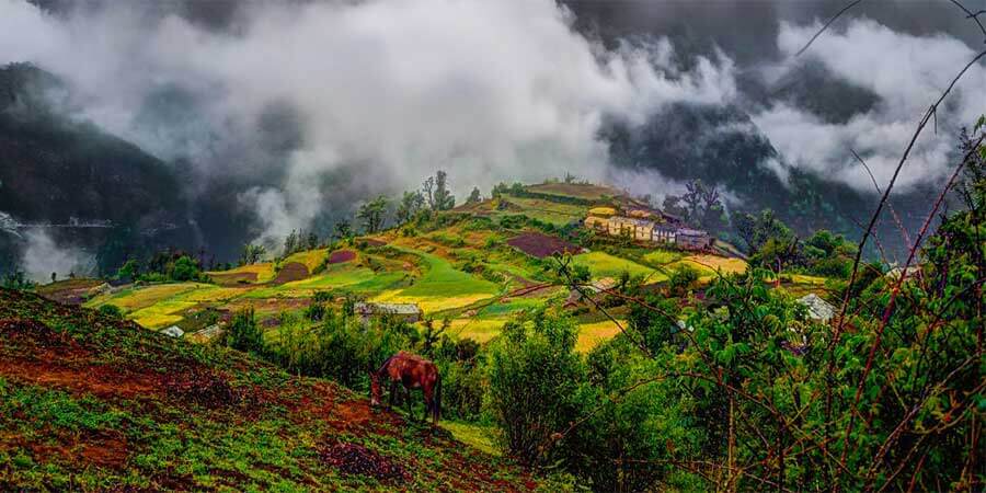 Ali Bedni Bugyal Trek