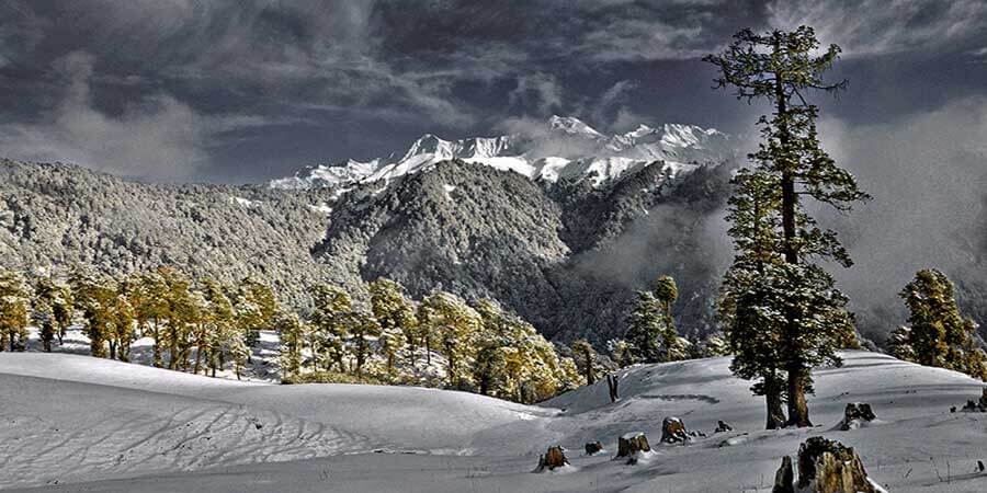 Dayara Bugyal Trek