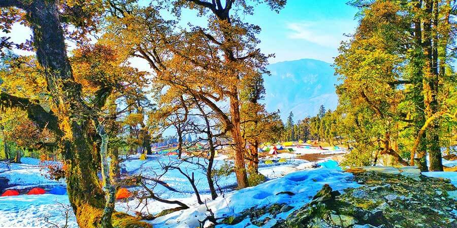 Kedarkantha Snow Trek
