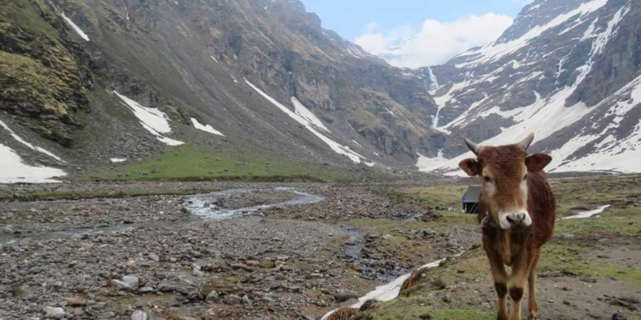Rupin Pass Trek