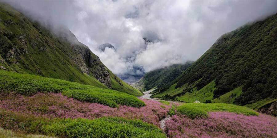 Valley of Flowers Trek